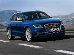ऑटोमोबाइल Audi SQ5 तस्वीर, विशेषताएँ